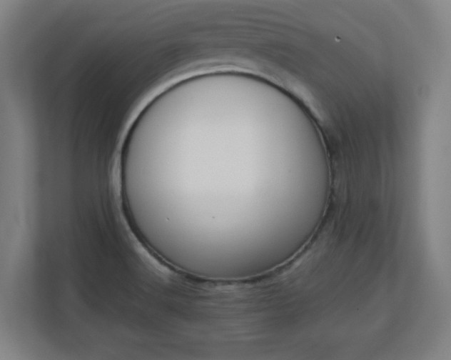 X0000111151516200907071058