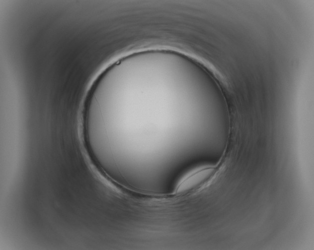 X0000111151518200907071058