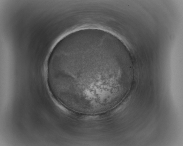X0000111151519200907071058