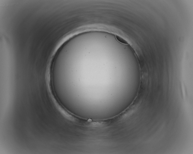 X0000111151523200907071058