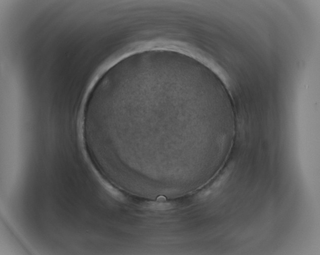 X0000111151525200907071059