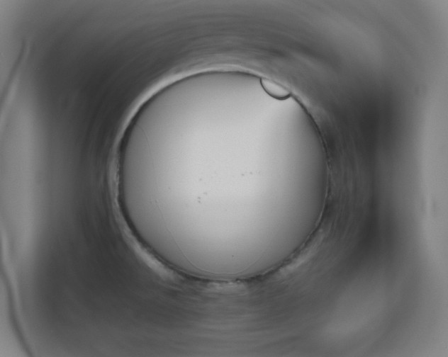 X0000111151526200907071059