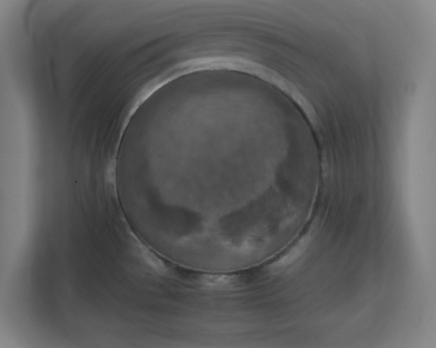 X0000111151529200907071059