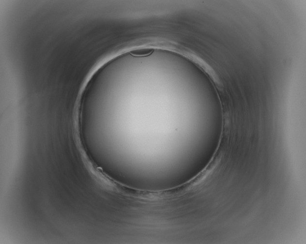 X0000111151530200907071059