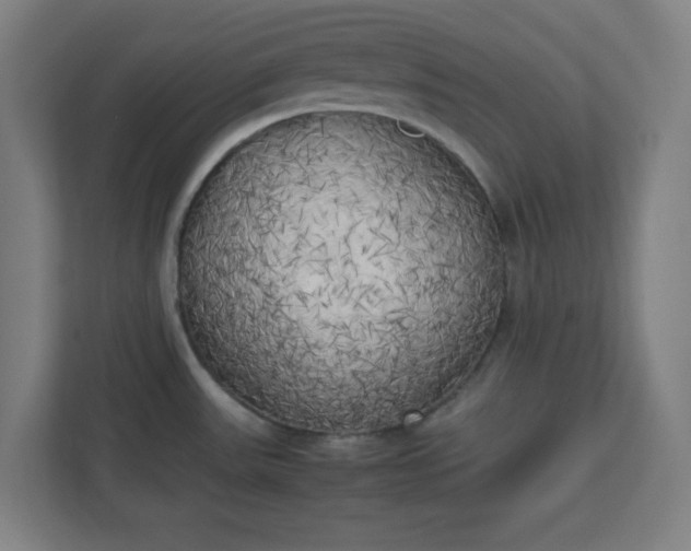 X0000111151531200907071059