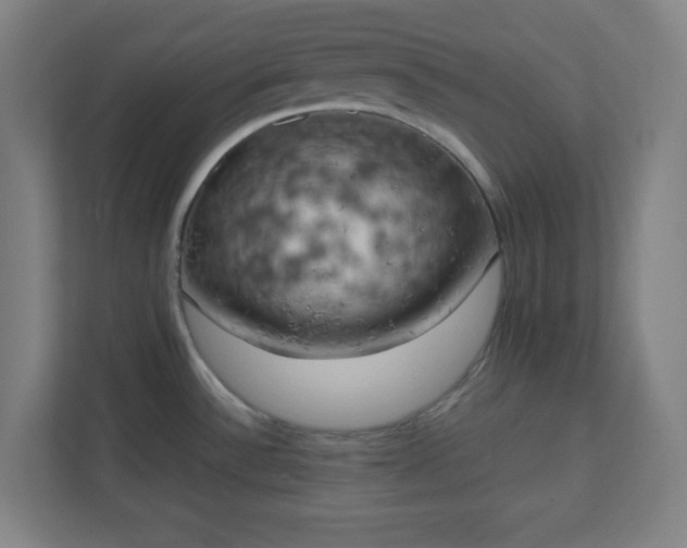 X0000111151532200907071059