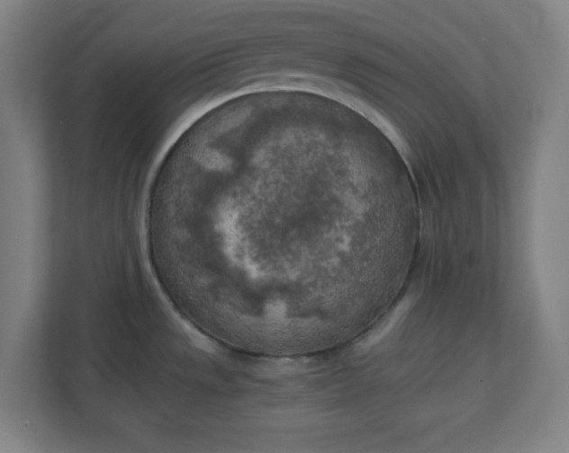 X0000111151533200907071059