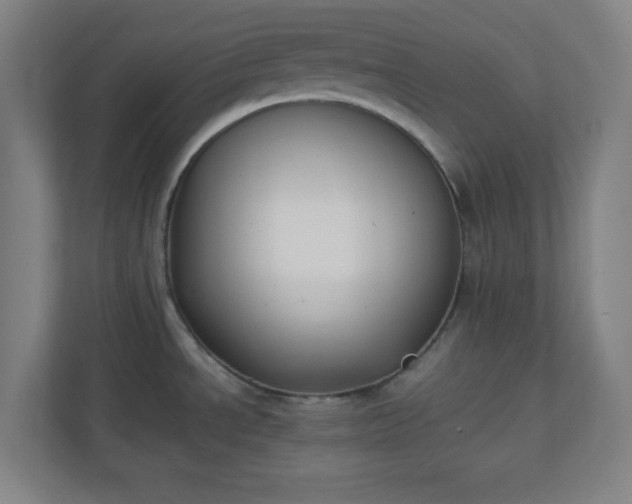 X0000111151534200907071059