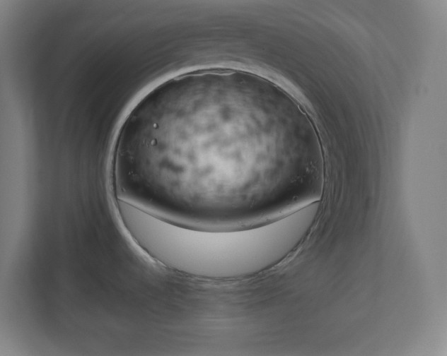 X0000111151536200907071059