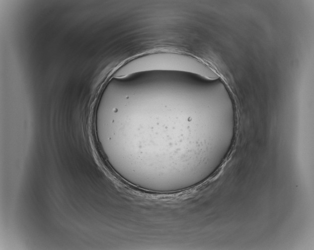 X0000111150001200907141351