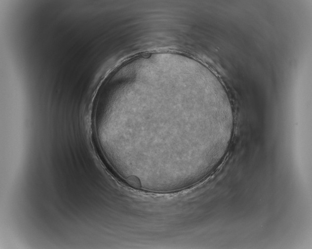 X0000111150002200907141351