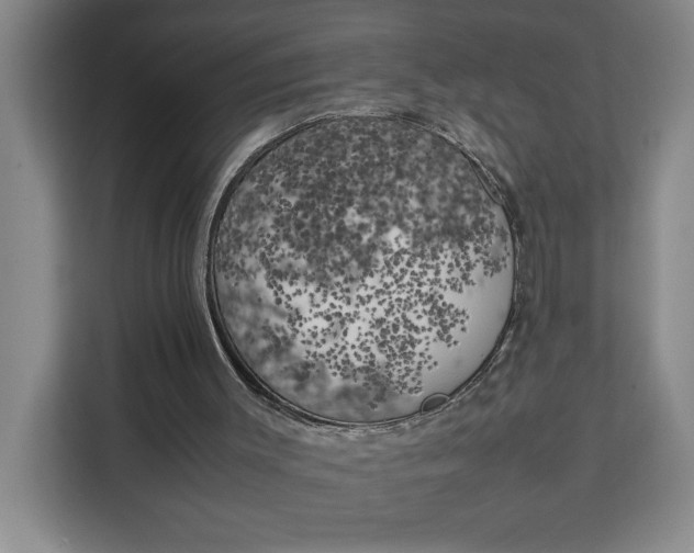 X0000111150003200907141350