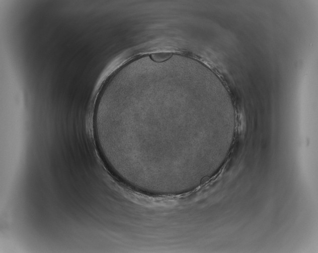 X0000111150004200907141350