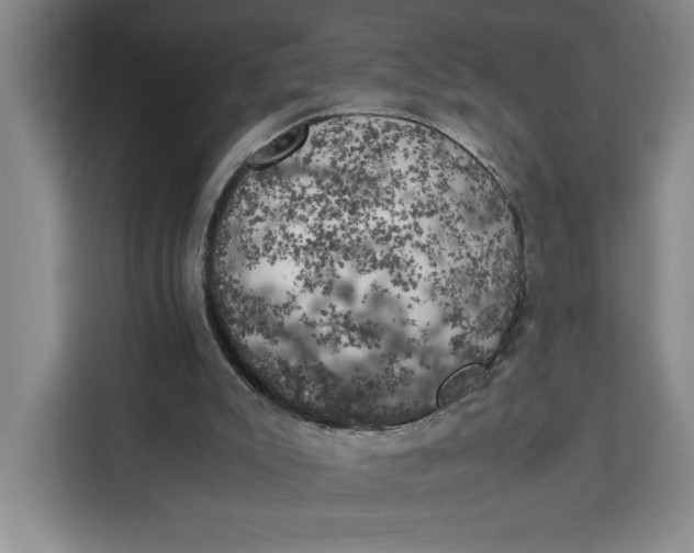 X0000111150007200907141350