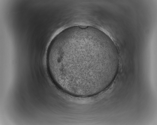 X0000111150008200907141350