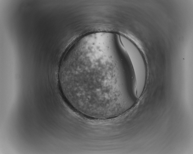 X0000111150009200907141350
