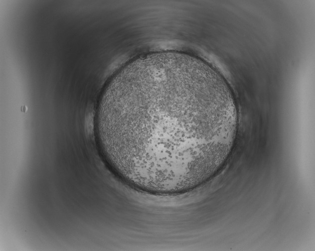 X0000111150010200907141350