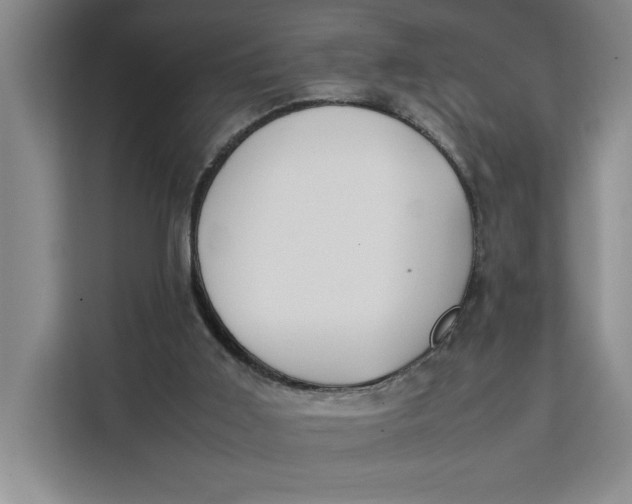 X0000111150011200907141350