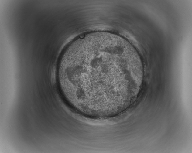 X0000111150012200907141350