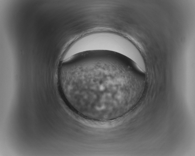 X0000111150015200907141350