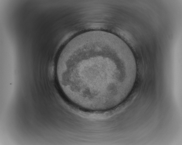 X0000111150016200907141350