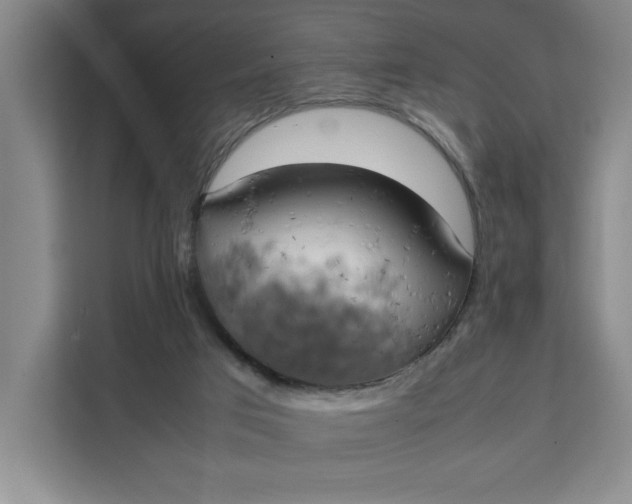X0000111150017200907141350