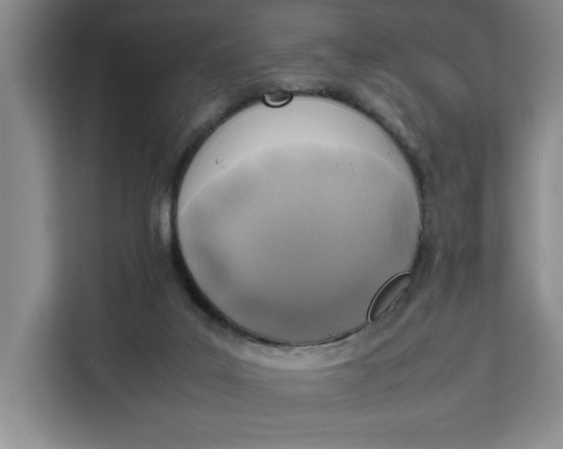 X0000111150019200907141350