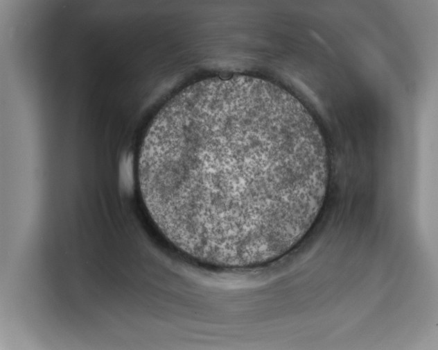 X0000111150020200907141350