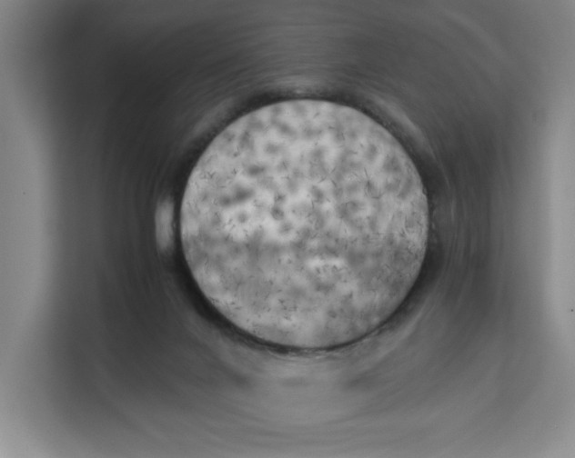 X0000111150024200907141350