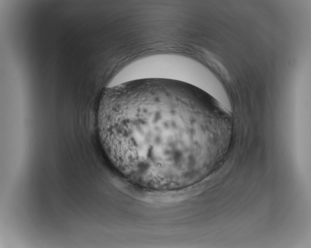 X0000111150025200907141350