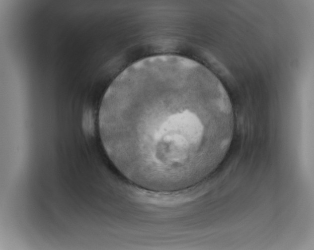X0000111150026200907141350