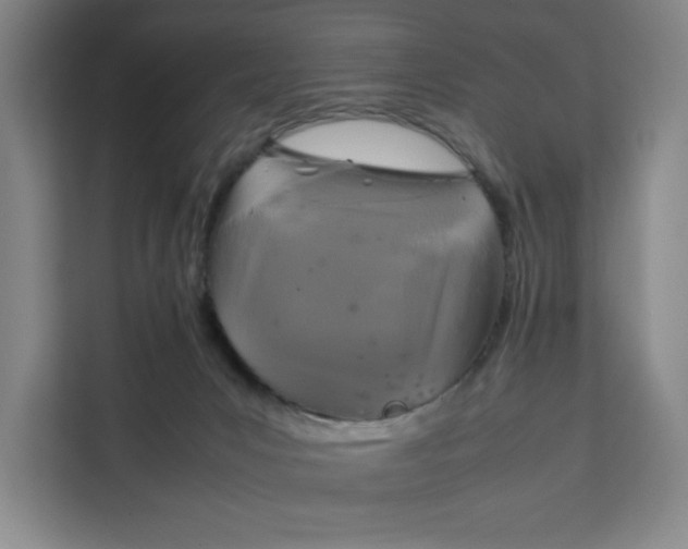 X0000111150031200907141350