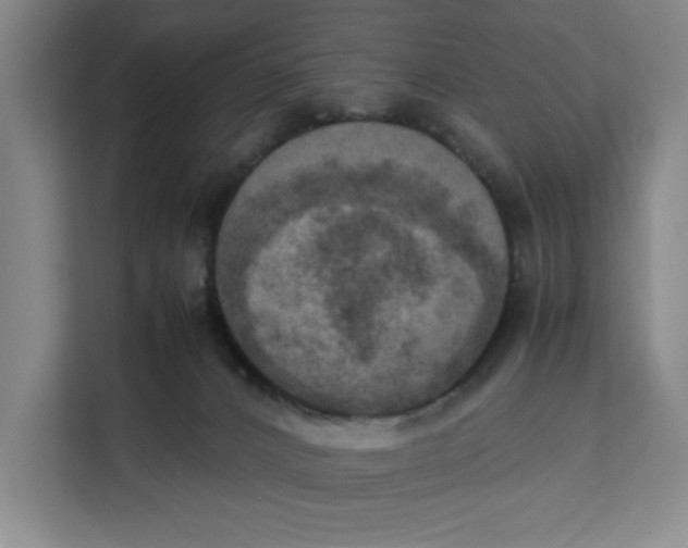 X0000111150032200907141350