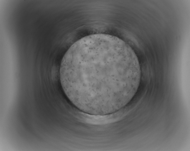 X0000111150034200907141350