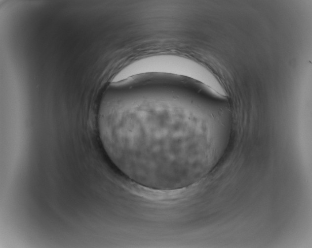 X0000111150035200907141350
