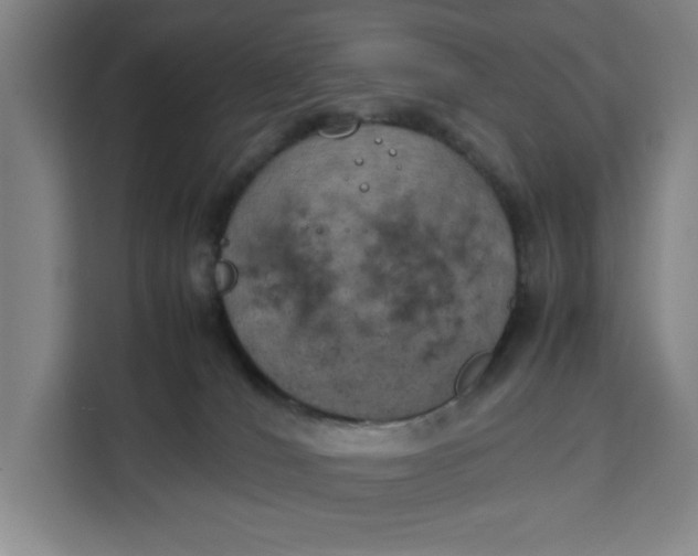 X0000111150036200907141350