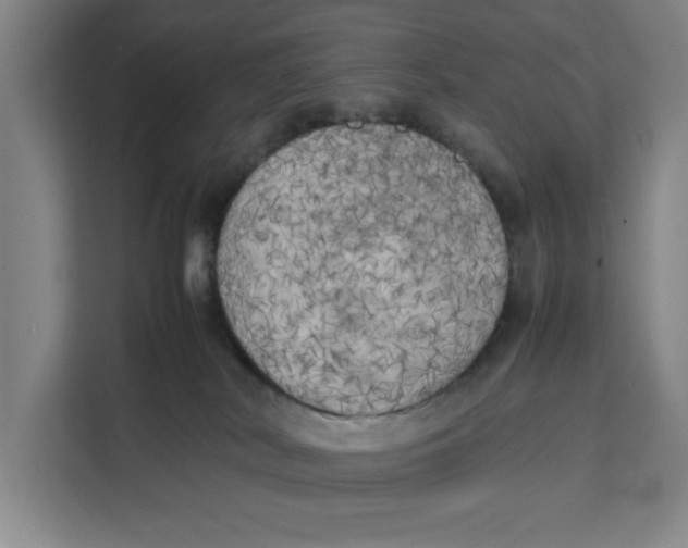 X0000111150038200907141350