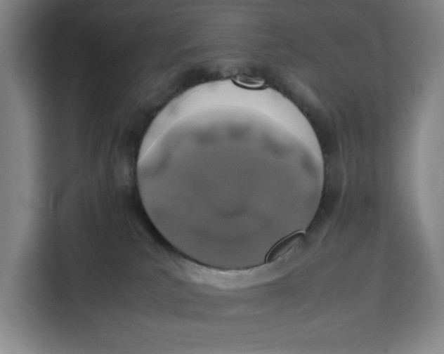 X0000111150039200907141350