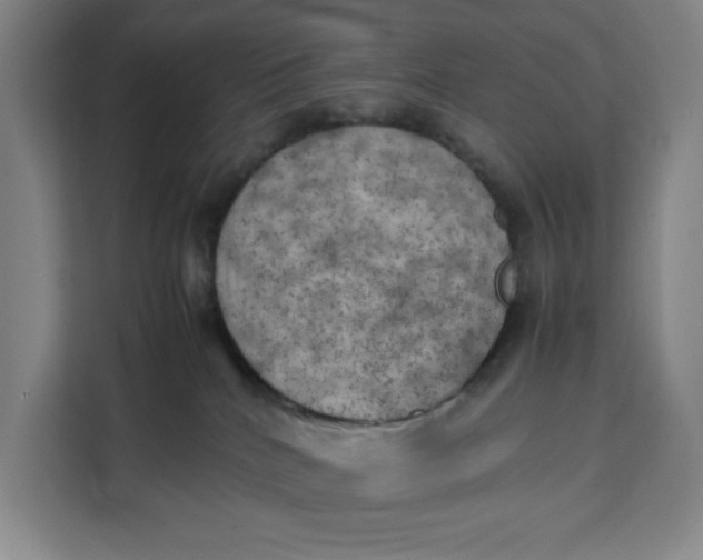 X0000111150040200907141350