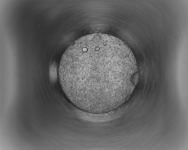 X0000111150042200907141350