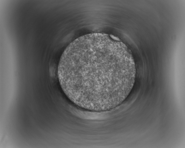X0000111150044200907141350