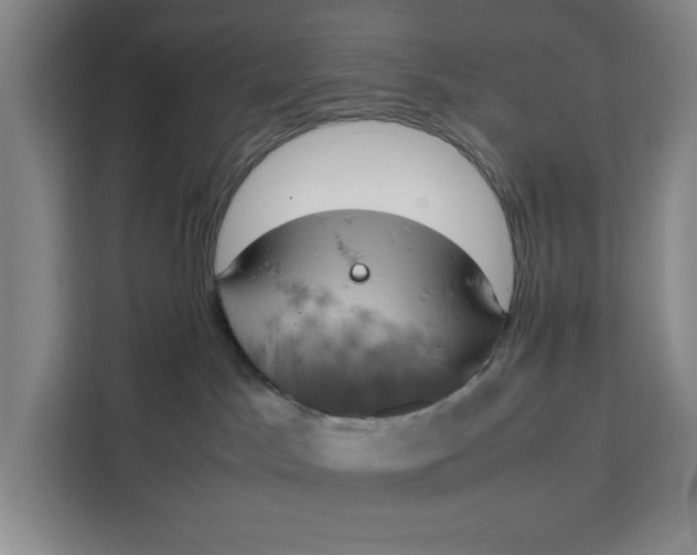 X0000111150045200907141350