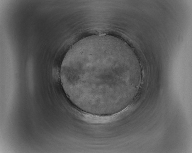 X0000111150048200907141350