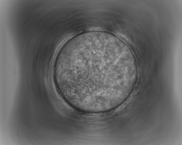 X0000111150049200907141349