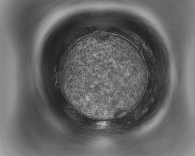 X0000111150050200907141349
