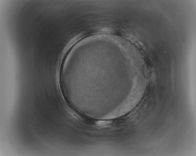 X0000111150051200907141349