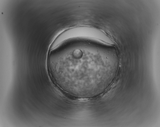 X0000111150052200907141349