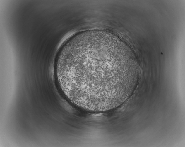 X0000111150054200907141349