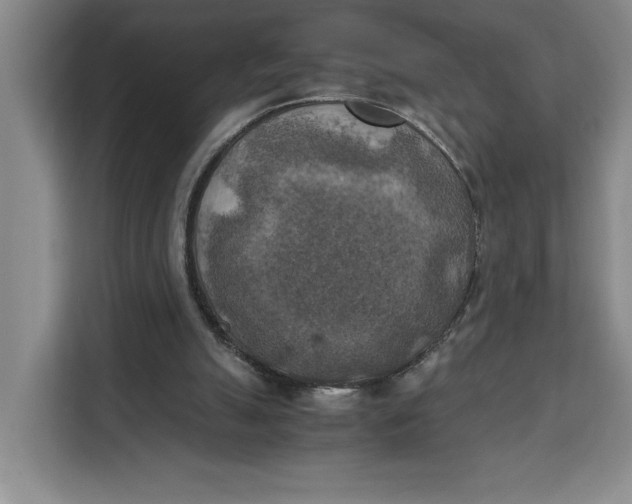 X0000111150055200907141349