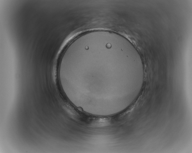 X0000111150056200907141349